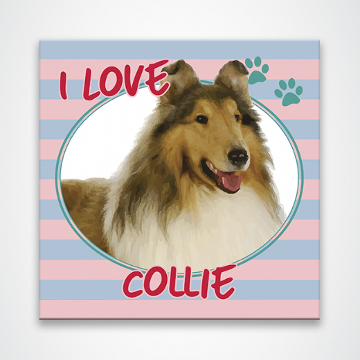Foto destaque - Placa Decorativa 20x20 Pet I Love Collie