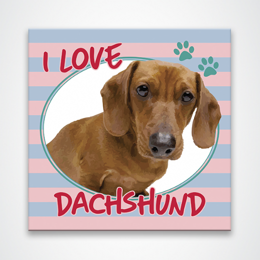 Foto destaque - Placa Decorativa 20x20 Pet I Love Dachshund
