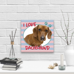Foto 1 - Placa Decorativa 20x20 Pet I Love Dachshund