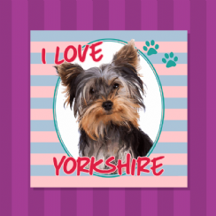 Foto 1 - Placa I Love Yorkshire